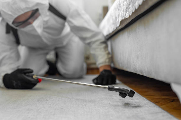 Professional Bed Bug Control technician working in Harlan County County, NE